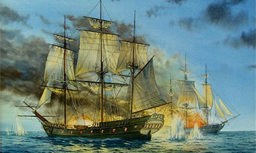 Privateer Rattlesnake